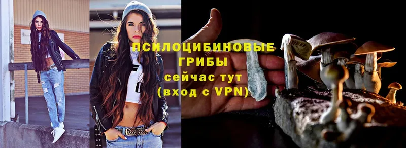 площадка состав  Николаевск-на-Амуре  Галлюциногенные грибы Magic Shrooms  даркнет сайт 